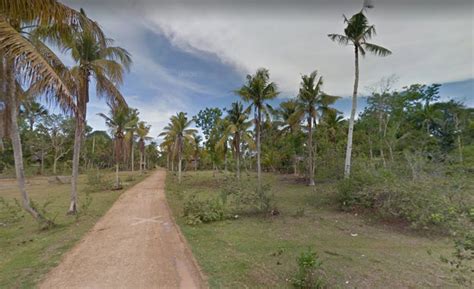 Lot For Sale In Dauis Tinago Panglao Bohol Philippines