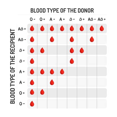 Premium Vector | Blood group compatibility table, blood group ...