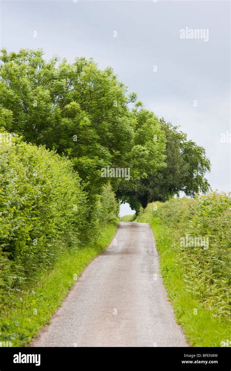 country lane  england stock photo alamy
