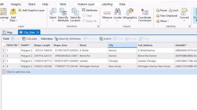 Auto Populate Concatenating Fields Using Attribute Rules In Arcgis Pro