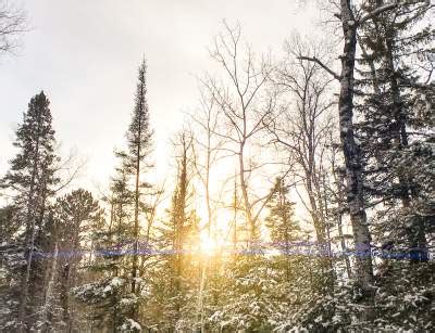 Dogsled, Snowmobile, Ski, Icefish & Snowshoe in Ely, MN