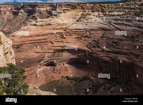 canyon de chelly national monument chinle AZ Stock Photo - Alamy