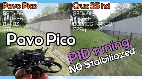 Pavo Pico Pid Youtube