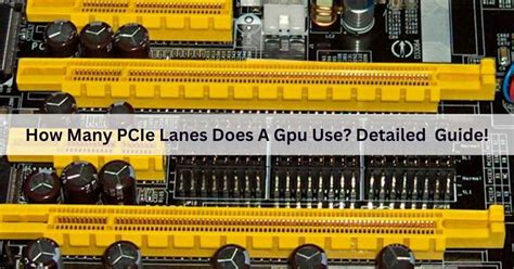 How Many Pcie Lanes Does A Gpu Use Detailed Guide