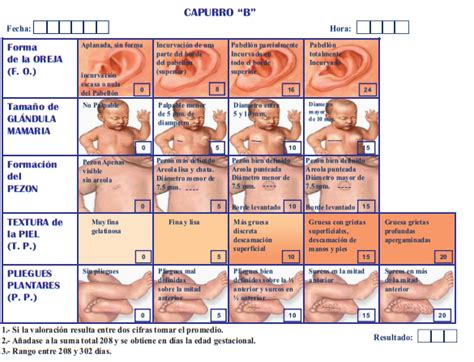 Infografia Sobre Los Test Apgar Capurro Y Silverman Dr Ramirez Images