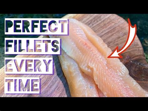 How To Fillet A Trout THE RIGHT WAY YouTube