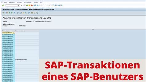 Sap Security Alle Transaktionscodes Eines Sap Benutzer Sap Security