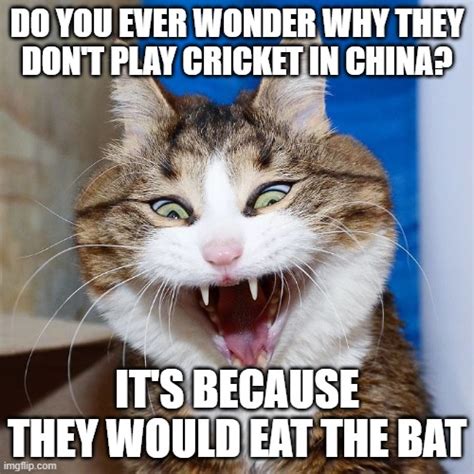 Epic Joke Cat Imgflip