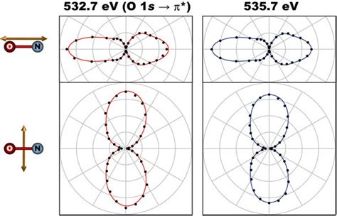 Polar Plots Of N 1s Photoelectron Angular Distribution From