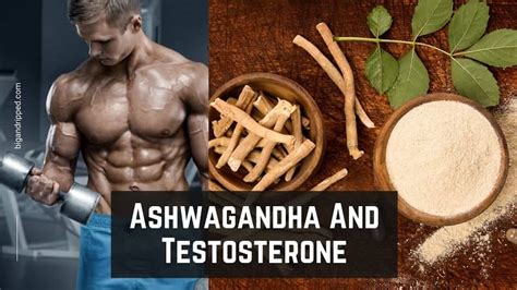 Ashwagandha And Testosterone Benefits Side Effects And Dosage