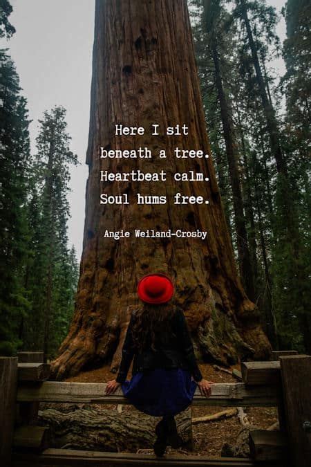 Tree Quotes & Forest Quotes that Branch to Your Soul | Momsoulsoothers | Forest quotes, Tree ...