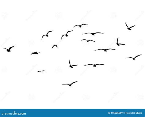 Silhouette Flock Of Flying Birds Flying Birds On White Background