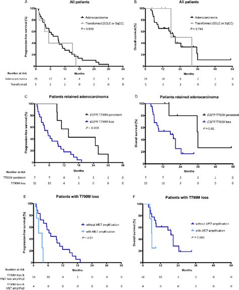 The Kaplan Meier Survival Analysis For Osimertinib Treatment Aeb Pfs