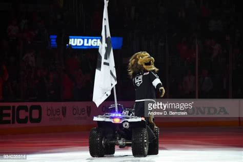 Detroit Red Wings Mascot Photos and Premium High Res Pictures - Getty ...