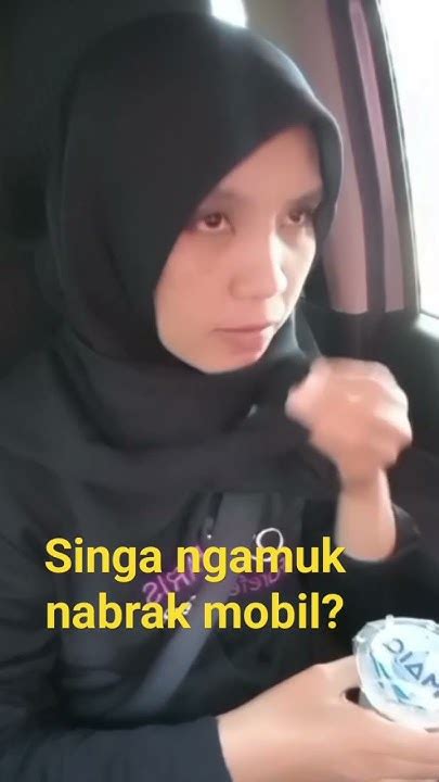 Singa Ngamuk Nabrak Mobil Merah Bikin Kaget ⁉️ Shortvideo Shorts Pypシ Cumakamuyangbisa Youtube