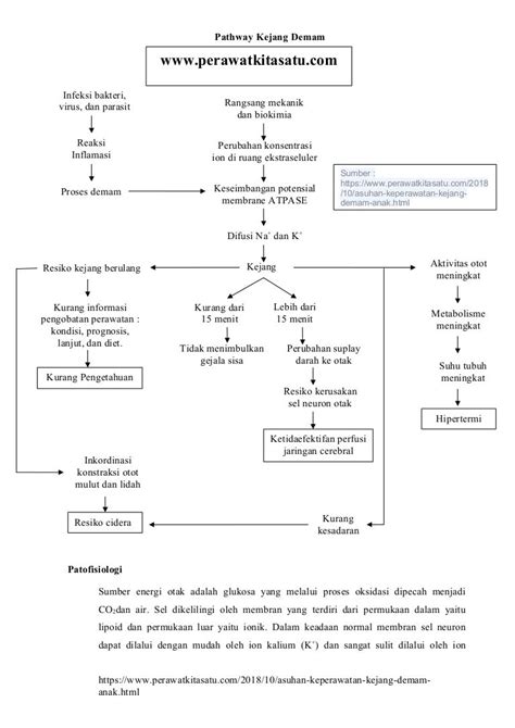 Pathway Kejang Demam Anak Lengkap