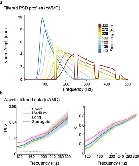 Figure S Amplitudes Of Slower Rhythms Do Not Confound Hg Activity A