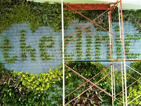 Berikut Ini 21 Contoh Gambar Vertical Garden Dinding Hijau Jasa