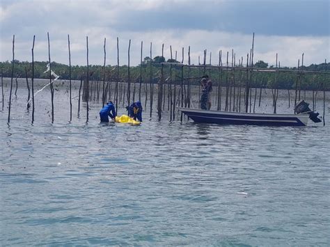 Pemuda Tewas Usai Lompat Dari Jembatan Barelang Diduga Karena Putus