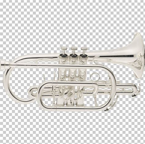 Cornet Trumpet Saxhorn Mellophone French Horns Png Clipart Altbasun