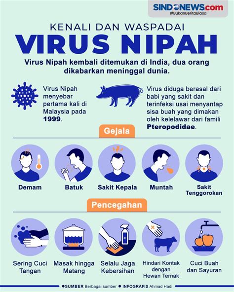 Cegah Infeksi Virus Nipah Dinkes Dki Jakarta Ajak Warga Untuk Selalu