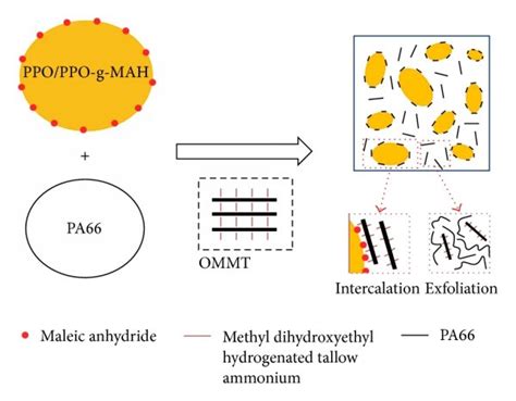 Schematic Diagram For Dispersion Of Ommt In Ppopa66 Nanocomposite Download Scientific Diagram