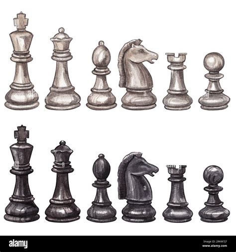 Set Of Chess Pieces Black And White Isolated On White Background