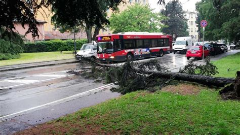 Maltempo Pioggia Su Bologna Alberi Caduti E Allagamenti Traffico In Tilt