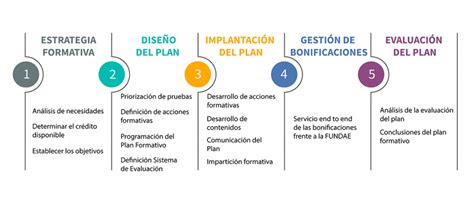 Fases De Una Empresa