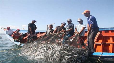 Ley De Pesca Y Acuicultura En Costa Rica Claves Para Entender Su