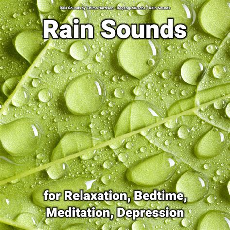 Meditation And Mindfulness Música E Letra De Rain Sounds By Thimo