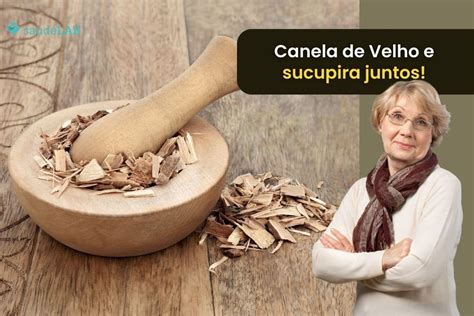 Canela De Velho Sucupira Para Que Serve E Como Usar Corretamente