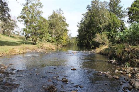 Sharp Park River Bend Country Bush Camping Canungra Live2camp In