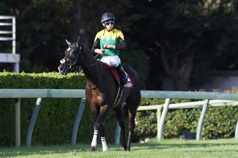 【3歳以上次走報】タイトルホルダーはジャパンcに向けて26日帰厩へ｜競馬ニュース｜競馬予想のウマニティ