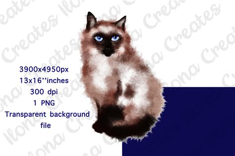 Watercolor Siamese Fluffy Cat Clip Art Graphic By Ilona Creates · Creative Fabrica