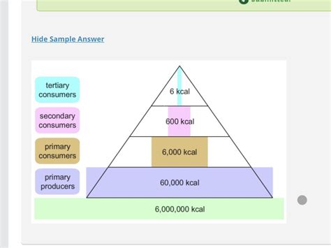 Assuming That The Sun Transmits 6 000 000 Kcal Of Energy To An Area