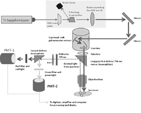 Figure From Extended Working Distance Multiphoton Micromanipulation