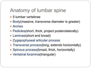 Anatomy and biomechanics of lumbar spine | PPT