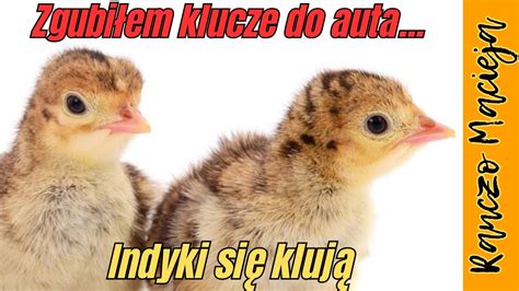 Indyki Si Kluj Zgubi Em Klucze Do Auta Youtube