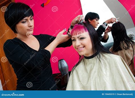 Hair Stylist At Work Royalty Free Stock Images Image 19445519