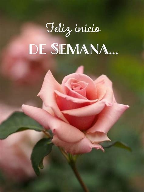 Feliz Inicio De Semana Feliz Lunes Feliz Semana Feliz D A Lunes