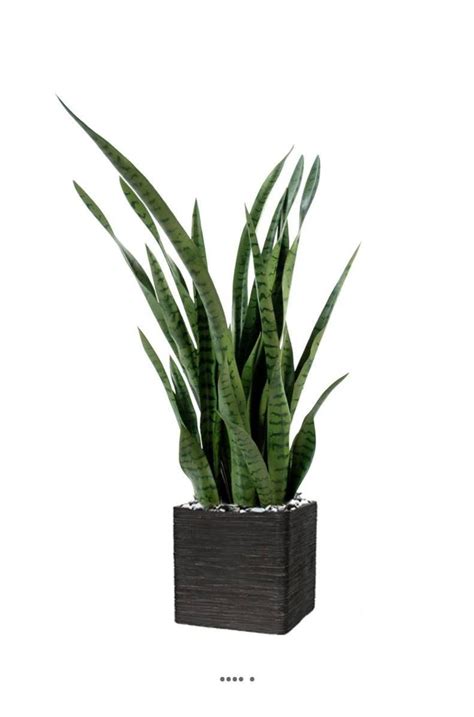 Sansevieria Artificiel En Pot H Cm En Plastique Haut De Gamme