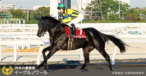 兵庫ジュニアグランプリjpnii 2024｜特集おトク情報楽天競馬