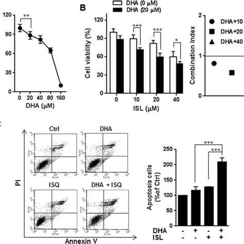 Apoptosis Induced By Co Treatment Of Dha And Isl Is Mediated By Download Scientific Diagram