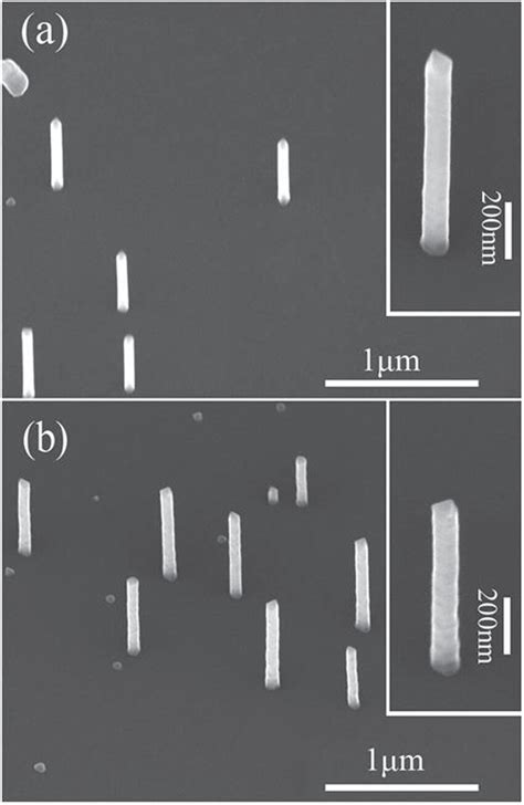 30 Tilted SEM Images Of The InAs GaSb Coreshell Nanowires Grown With