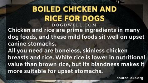 how to make boiled chicken and rice for dogs