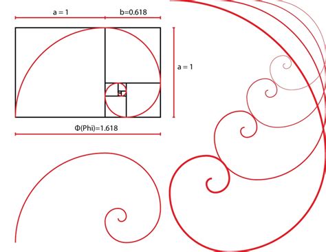 golden ratio spiral design tool - newarta