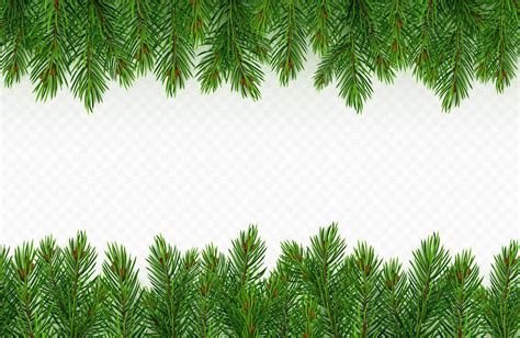 Pine Tree Branch Border Green Fir Twigs Frame Vector Art At