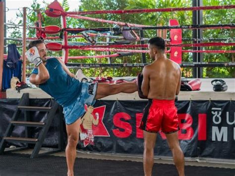 Tipos De Patadas En Muay Thai Madrid Box 2 0