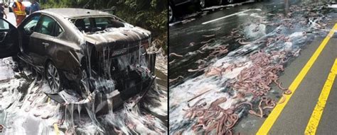 How A 34 Tonne Nightmare Slime Eel Apocalypse Wrecked A Highway Last